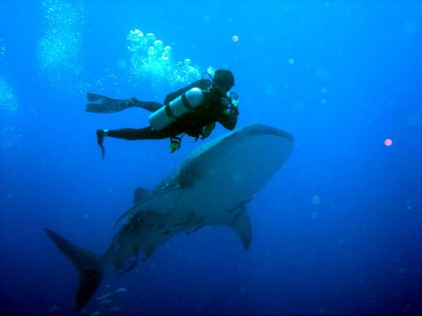 Red-Sea-Egypt (2)